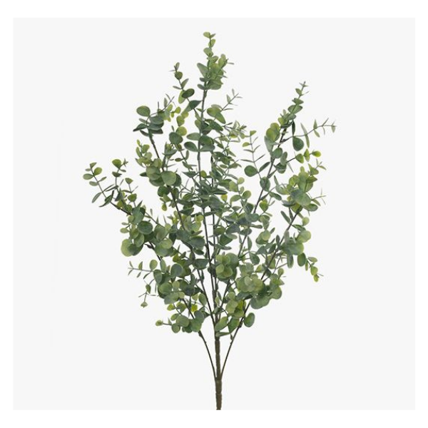 Eucalyptus Bush Grey green 60cm